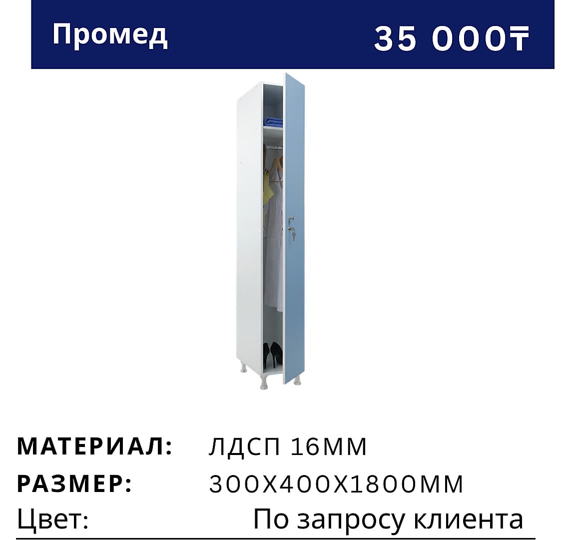Шкаф Промед